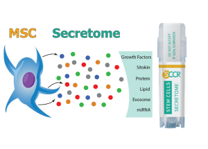 MSC - Secretome