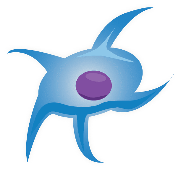 Mesenchymal Stem Cell