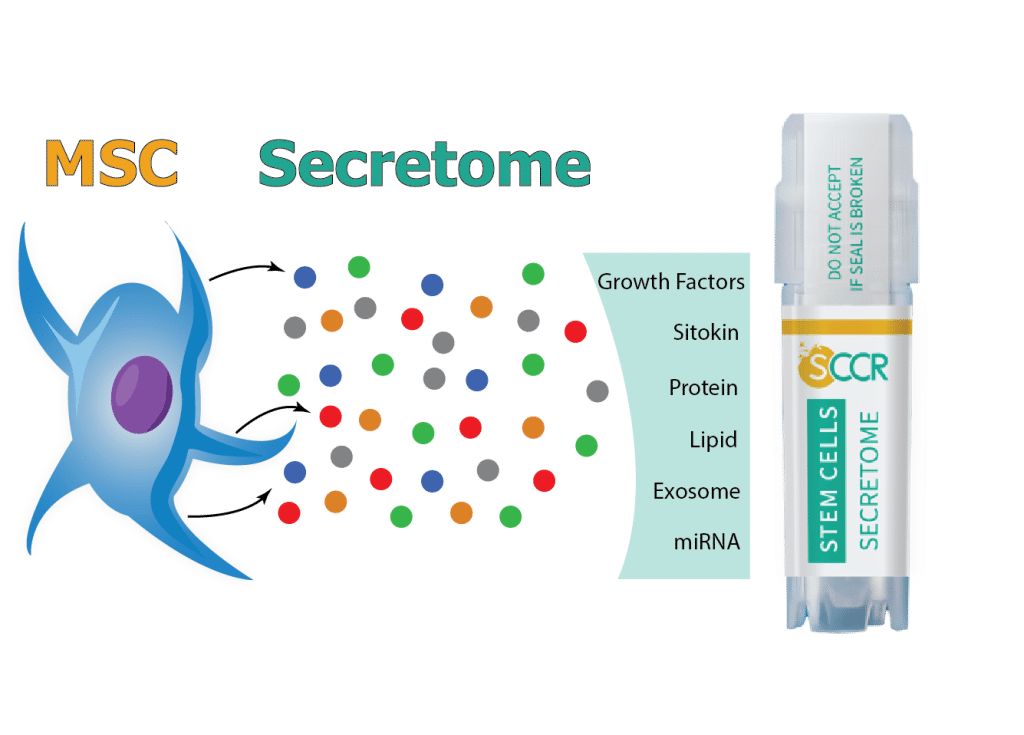MSC - Secretome